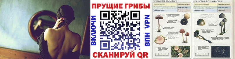 Галлюциногенные грибы Psilocybe  мориарти состав  Чкаловск 